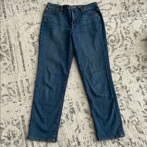 Style and Co.Jeans Classic Blue Straight Leg Denim